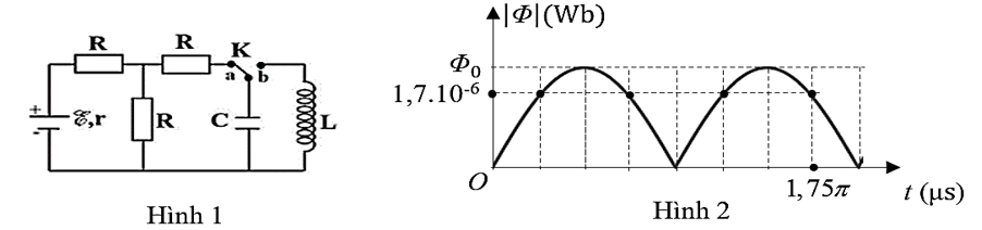 image4.png image4.png