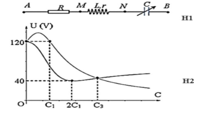 image3.png image3.png