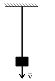 image2.png image2.png