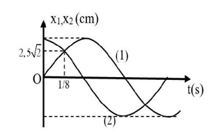 image3.png image3.png