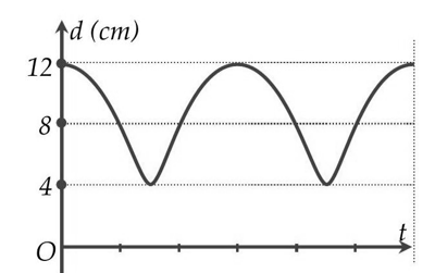 image4.png image4.png