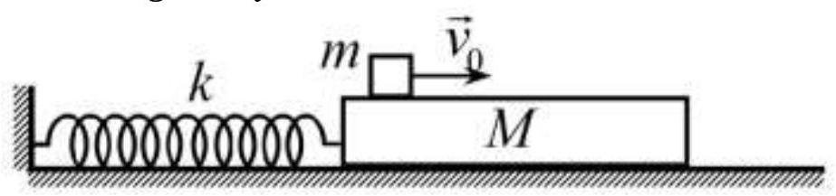 image6.jpg image6.jpg