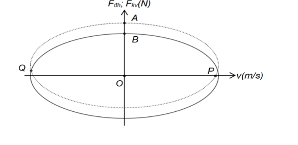 image4.png image4.png