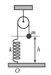 image5.png image5.png