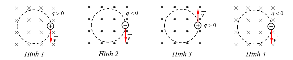 image1.png image1.png