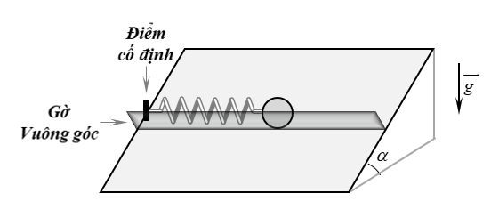 image6.png image6.png