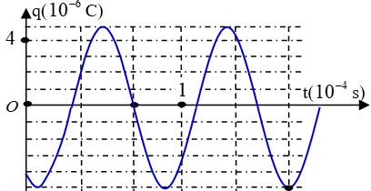 image4.png image4.png