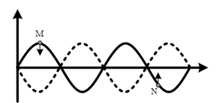 image6.png image6.png