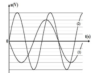 image13.png image13.png