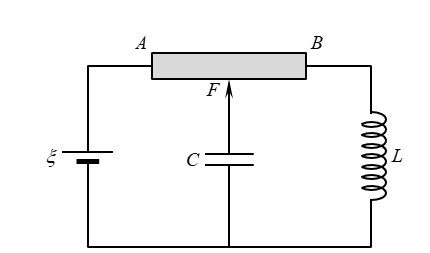 image11.png image11.png