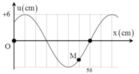 image4.png image4.png