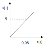 image1.png image1.png