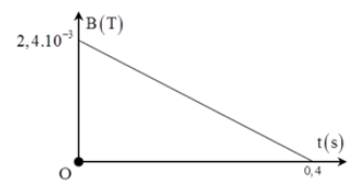 image3.png image3.png