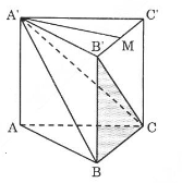 bai-10-trang-27-sgk-hinh-hoc-12.png bai-10-trang-27-sgk-hinh-hoc-12.png