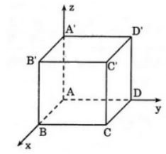 cau-10-a-1-trang-80-sgk-12-tap-2.jpg cau-10-a-1-trang-80-sgk-12-tap-2.jpg