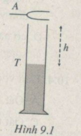 bai-913-trang-26-sbt-vat-li-12.png bai-913-trang-26-sbt-vat-li-12.png