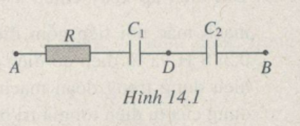 1614445506631.png 1614445506631.png