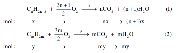 217-1_1.png 217-1_1.png