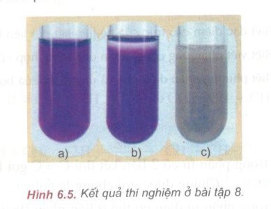 b8.jpg b8.jpg