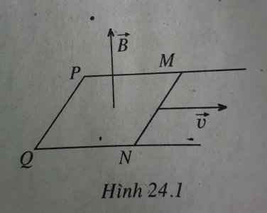 71109044-406885506689387-3373028703075303424-n.jpg 71109044-406885506689387-3373028703075303424-n.jpg