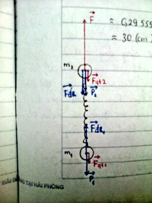 DSC00944.JPG DSC00944.JPG