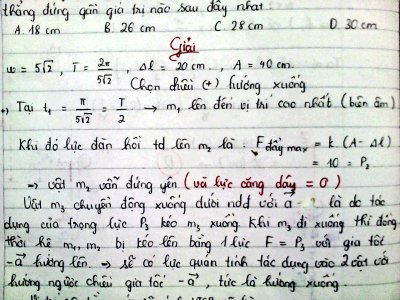 DSC00941.JPG DSC00941.JPG