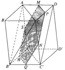 1615366523942.png 1615366523942.png