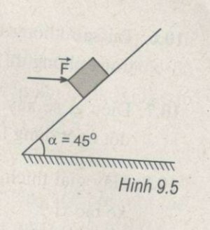 ly-10_2.jpg ly-10_2.jpg