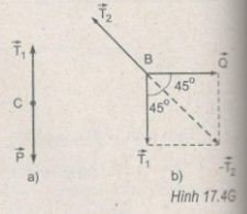 174g.jpg 174g.jpg