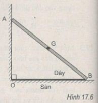 176.jpg 176.jpg