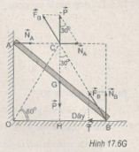 176g.jpg 176g.jpg