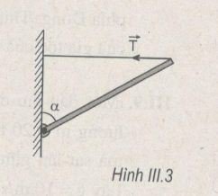 ly-10_16.jpg ly-10_16.jpg