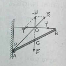 iii5-trang-52.png iii5-trang-52.png