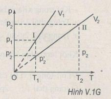 v11g.jpg v11g.jpg