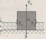 375g.jpg 375g.jpg