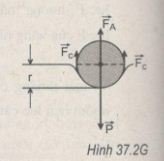 376g.jpg 376g.jpg
