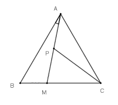 1615888279128.png 1615888279128.png