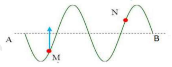 image1.png image1.png