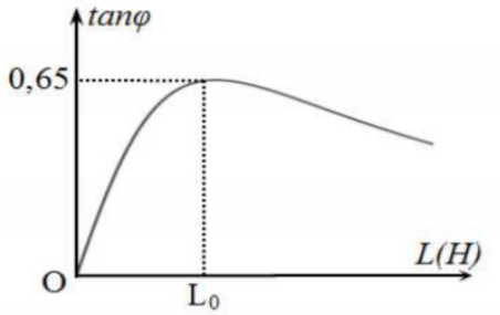 image6.png image6.png