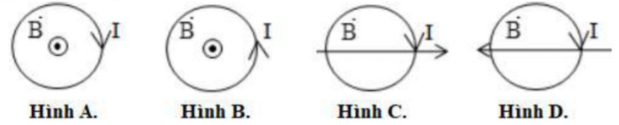 image1.png image1.png