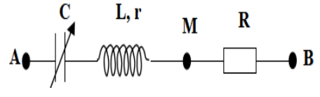 image2.png image2.png