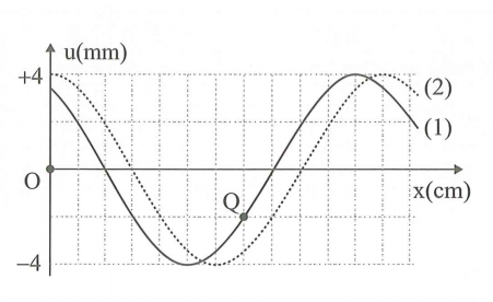 image1.png image1.png