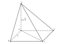 image7.png image7.png