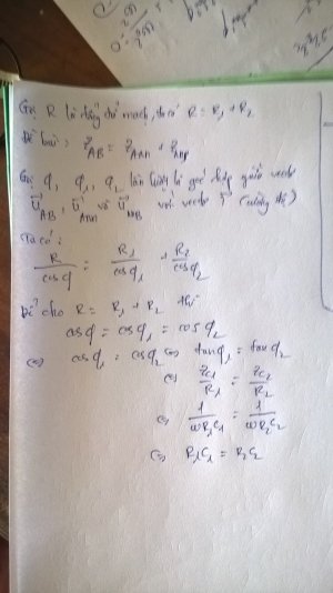 WP_20170710_13_43_50_Pro.jpg