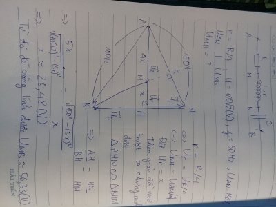 1517669225276390156515.jpg