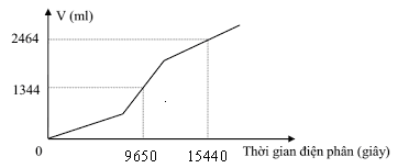 image2.png image2.png