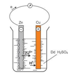 image1.png image1.png