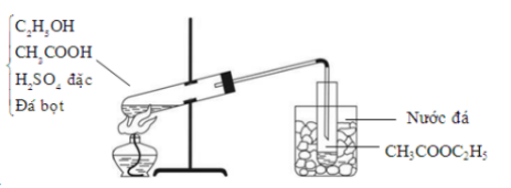 image3.png image3.png