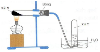 image1.png image1.png