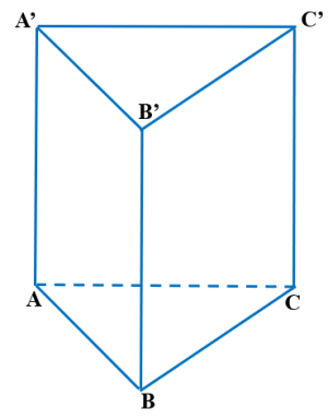 image7.png image7.png